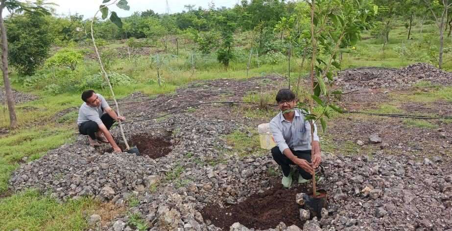 Balark Metals Private Limited Tree Plantation Drive on World Environment Day