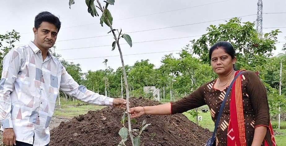 Balark Metals Private Limited Tree Plantation Drive on World Environment Day