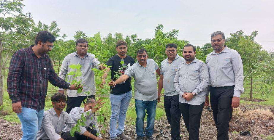 Balark Metals Private Limited Tree Plantation Drive on World Environment Day