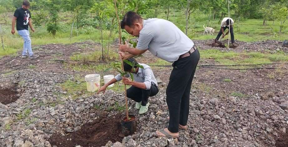 Balark Metals Private Limited Tree Plantation Drive on World Environment Day